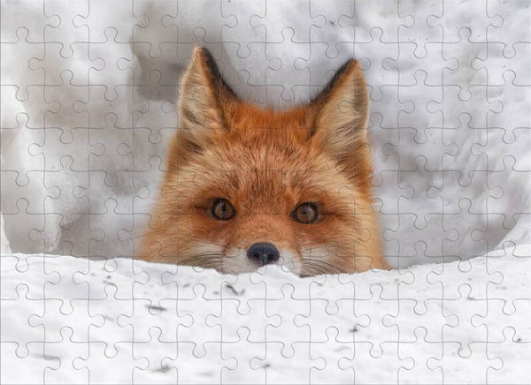 Peek-a-Boo