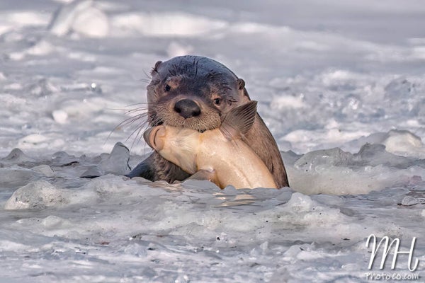 Ice Fishing