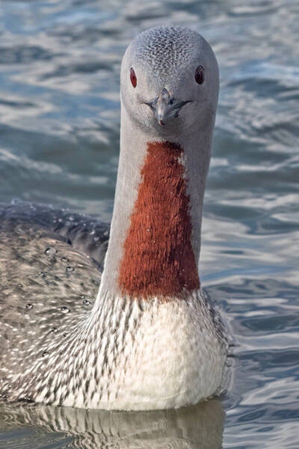 Ready For My Close Up