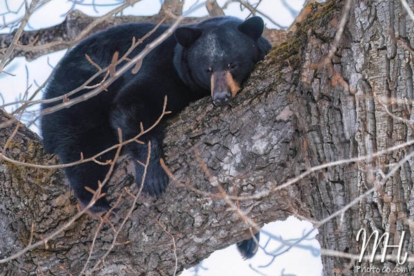 Waking Up Is Hard To Do