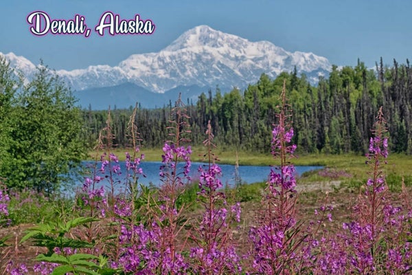 The Perfect Alaskan Cake Topper