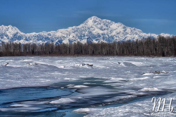 Denali Spring Views