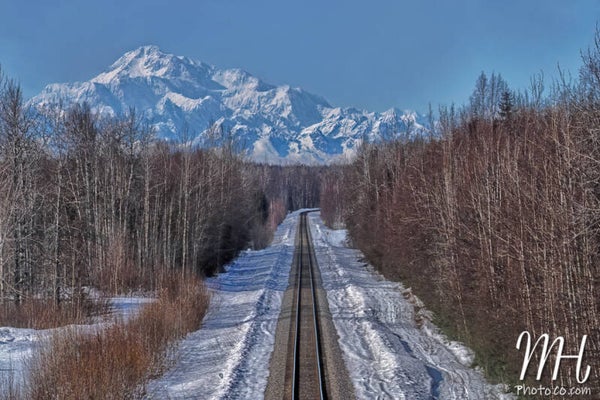 Train Ride to Denali