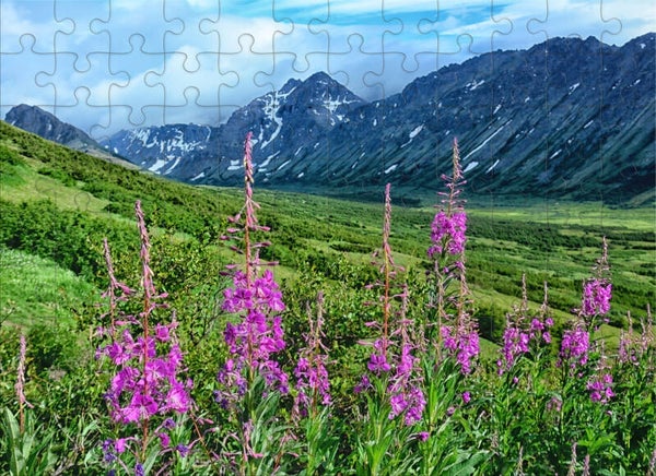 Fireweed Mountain