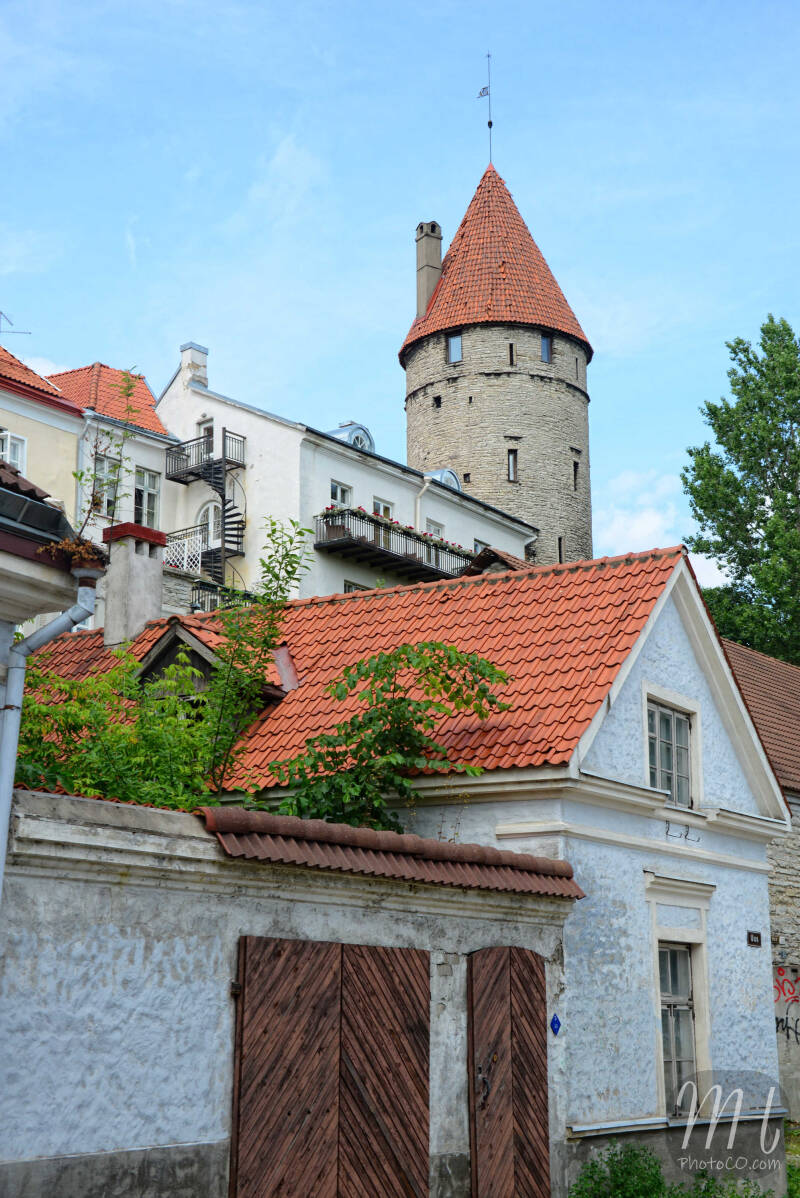 mdh_2818-1.jpg