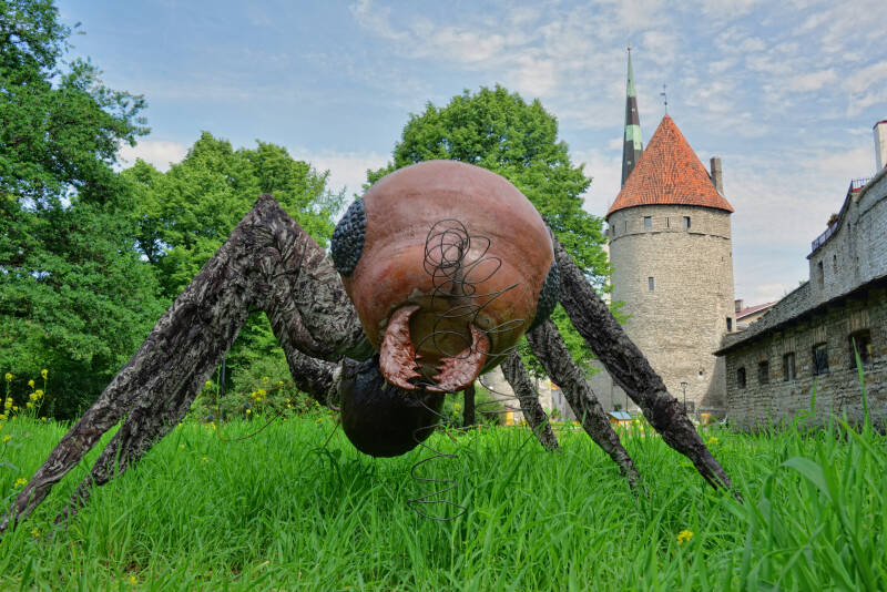 what makes tallinn estonia unique and special (with pics)