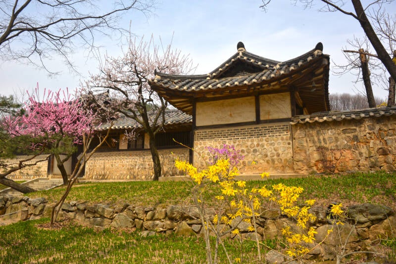 why choose Korea for a budget friendly vacation (with pics)