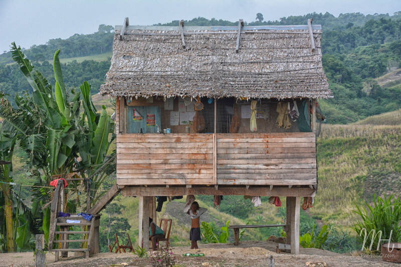 mdh_8348jpg.jpg