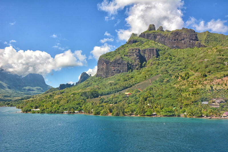 best relaxation in paradise 2022 palm tree extending moorea french polynesia