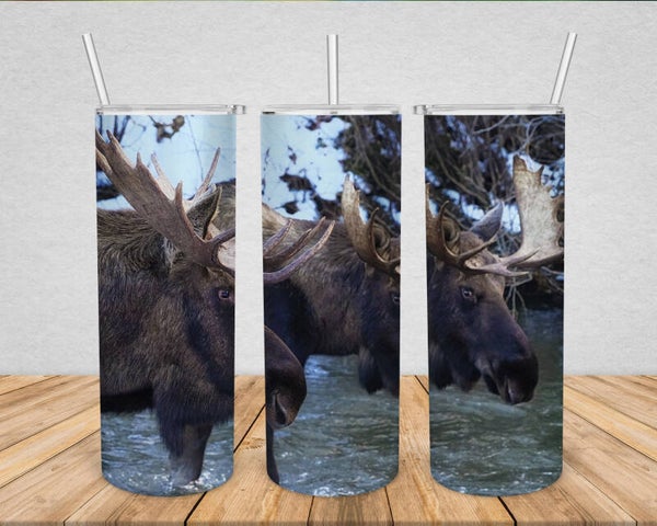 Moose Bros.