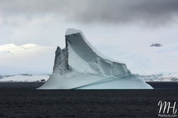 mdh_8353-4.jpg