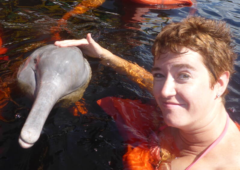 swimming with pink dolphins in the amazon river