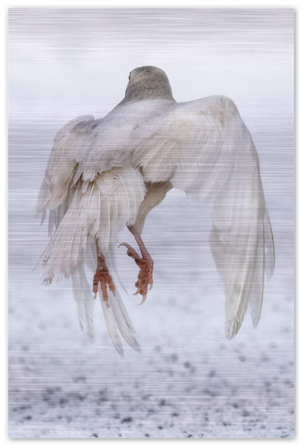 An Angel Taking Flight