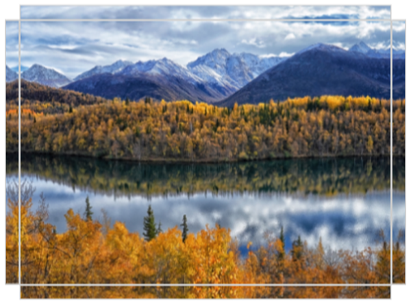 Nature's Finest Ingredients