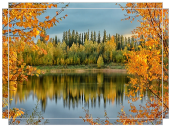 Framed by Fall