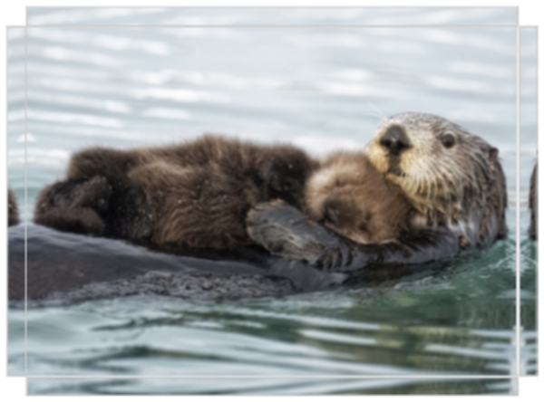 Baby's First Picture