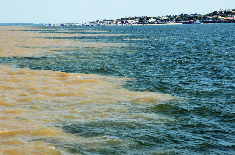 meeting of the waters the amazon river