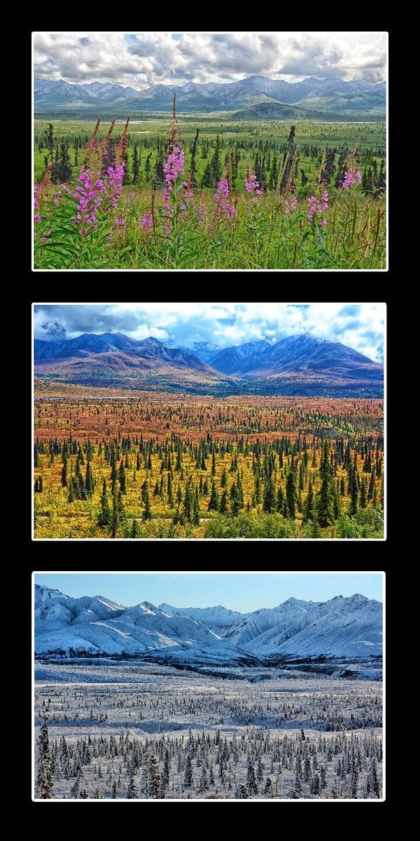 The Seasons of Change