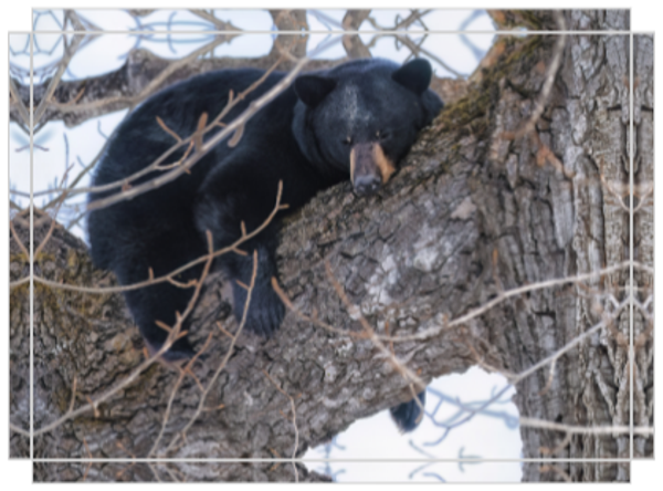 Waking Up Is Hard To Do