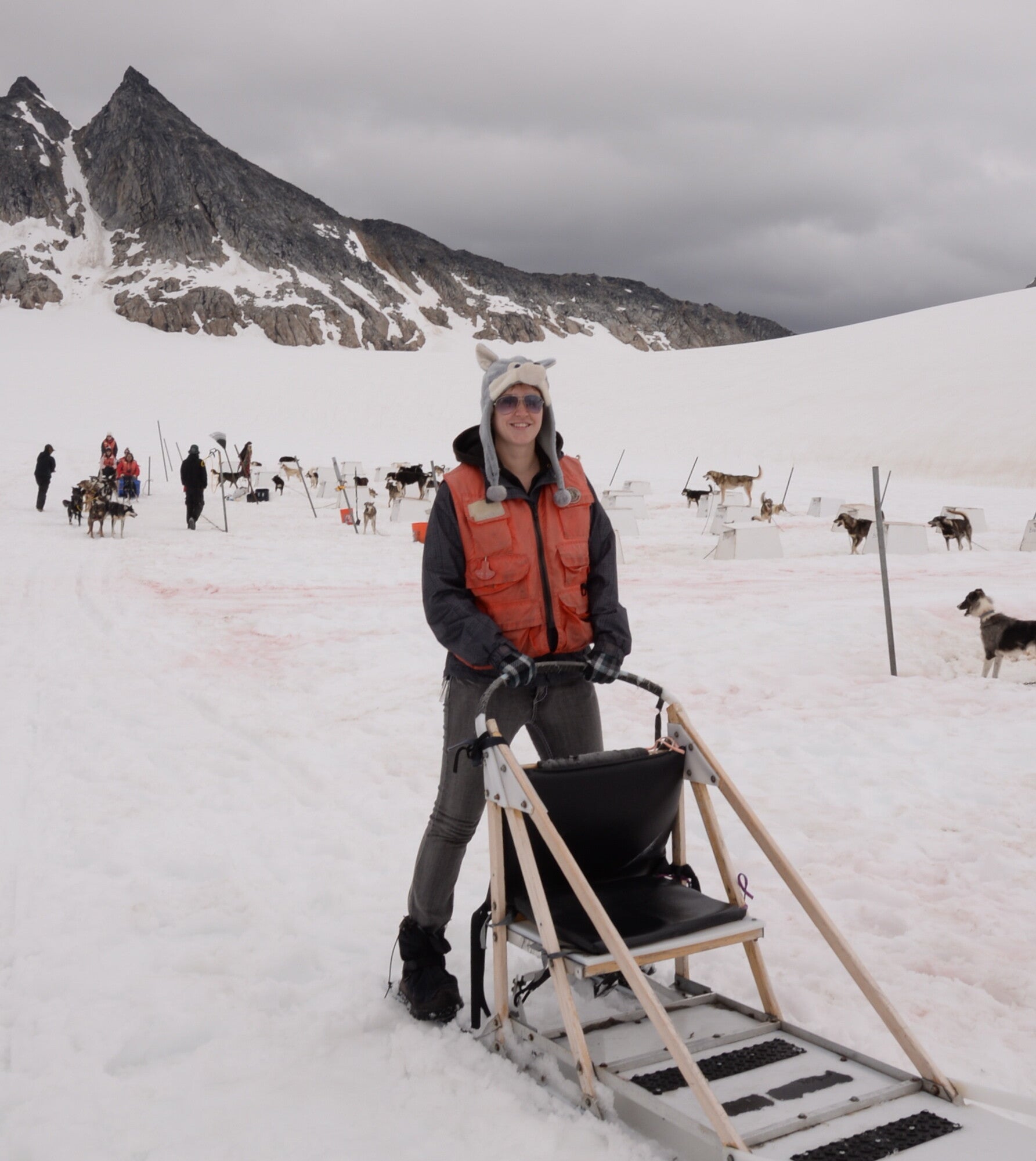 experience of a lifetime dog sledding glacier in alaska