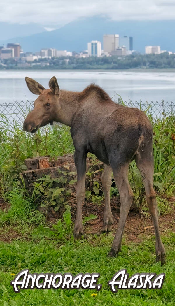 Welcome to Anchorage