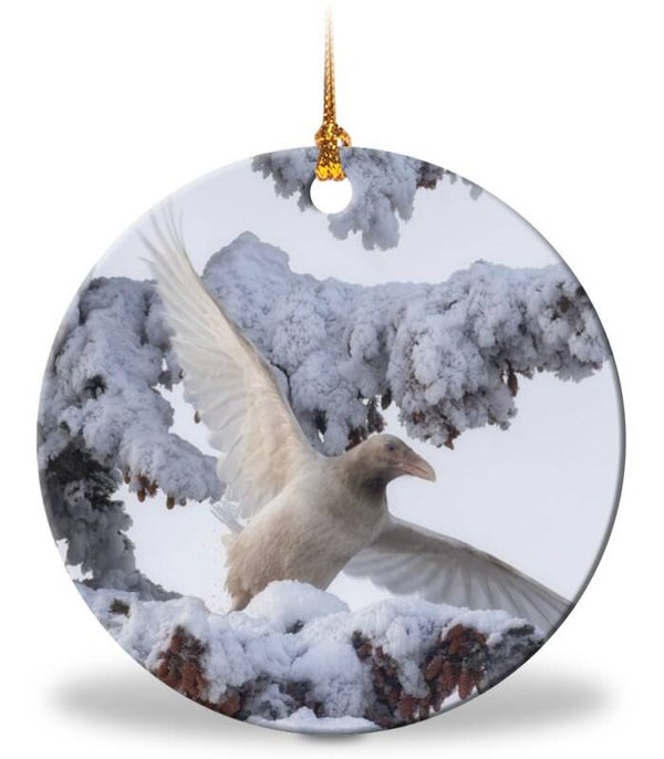 Whites of Winter