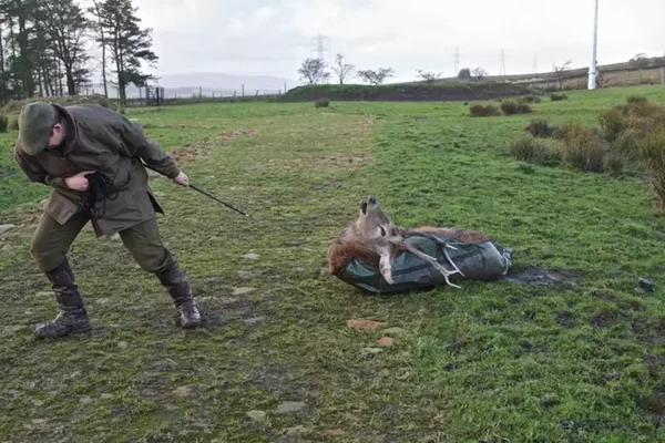 APEX Ready Sled Faltschlitten