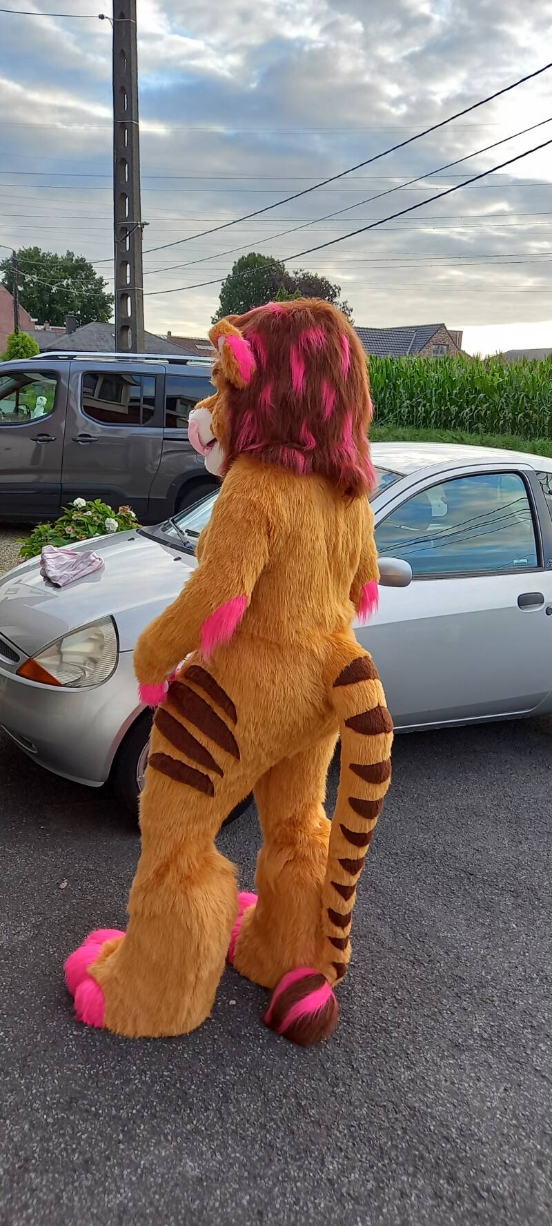 Lippy backview, with removable tail for partial suiting