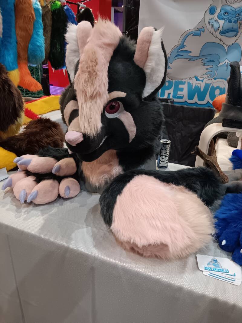 Wolf partial with pierced tongue