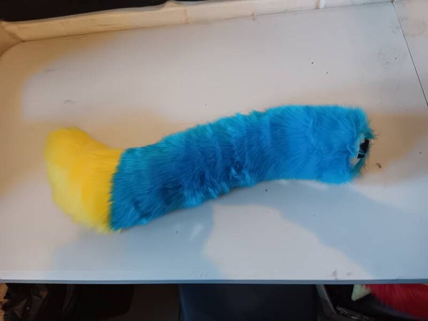 Yellow and blue tail