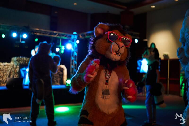 Lippy the lion in vibin'