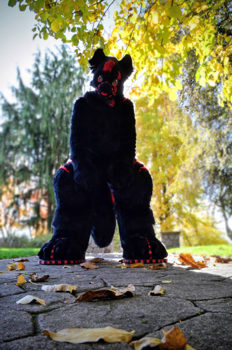Shadow! (Head made by lulu furs)