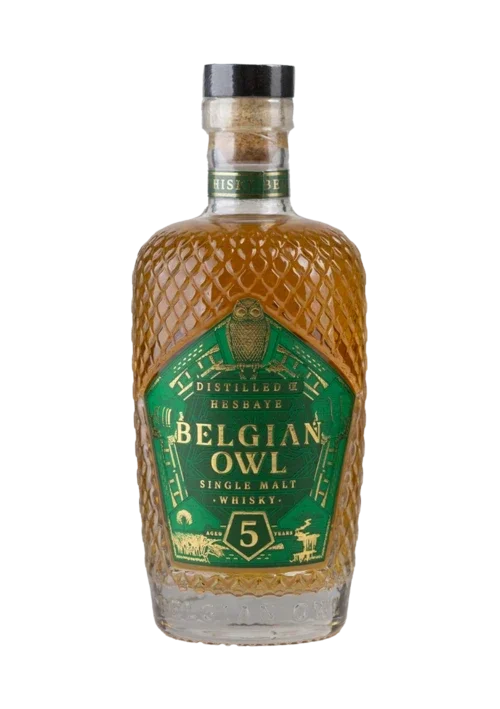 Belgian Owl 5 ans