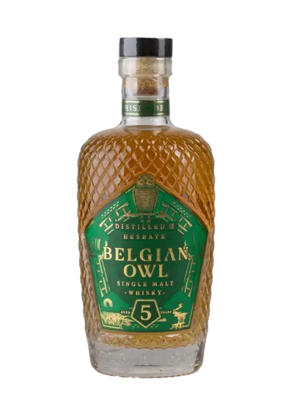 Belgian Owl 5 ans