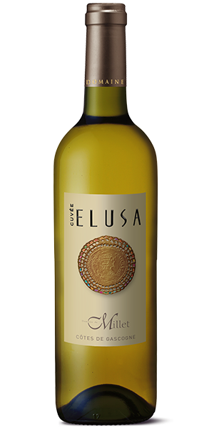 Élusa