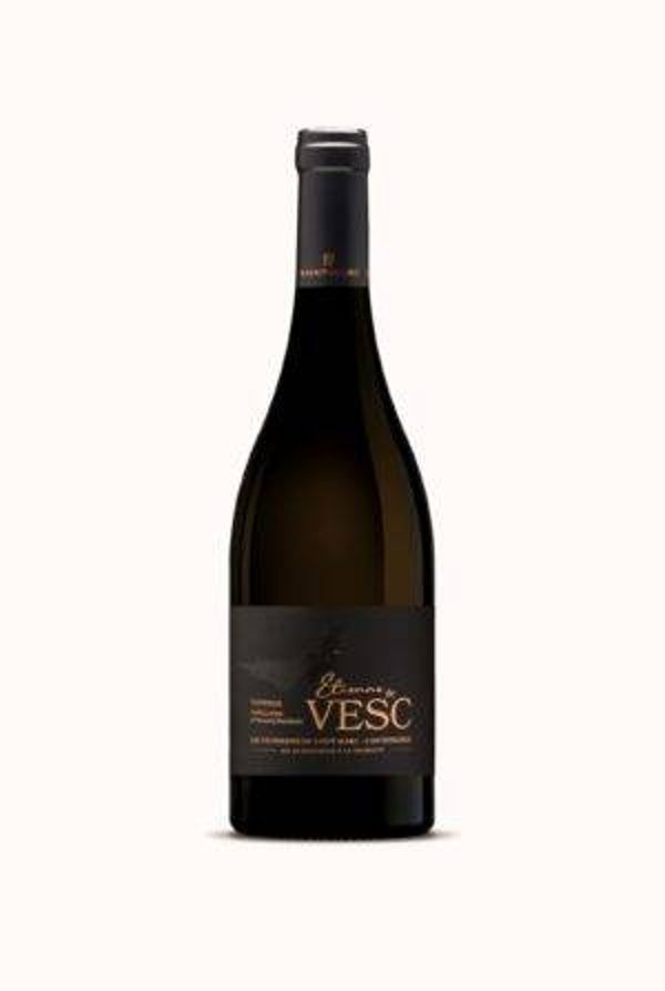 Etienne de Vesc