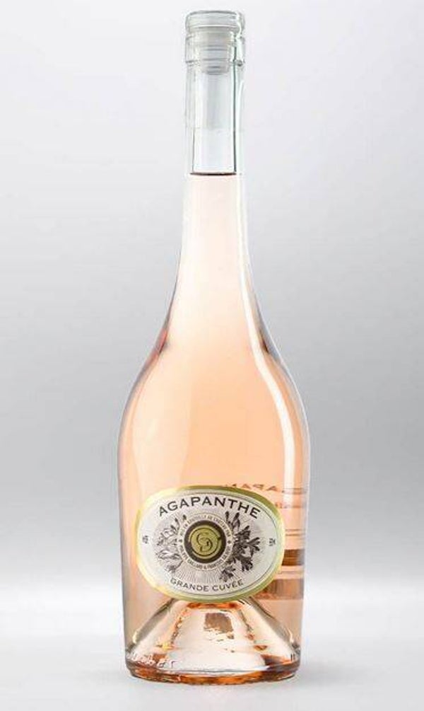 Agapanthe