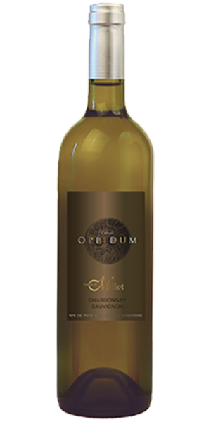 Oppidum
