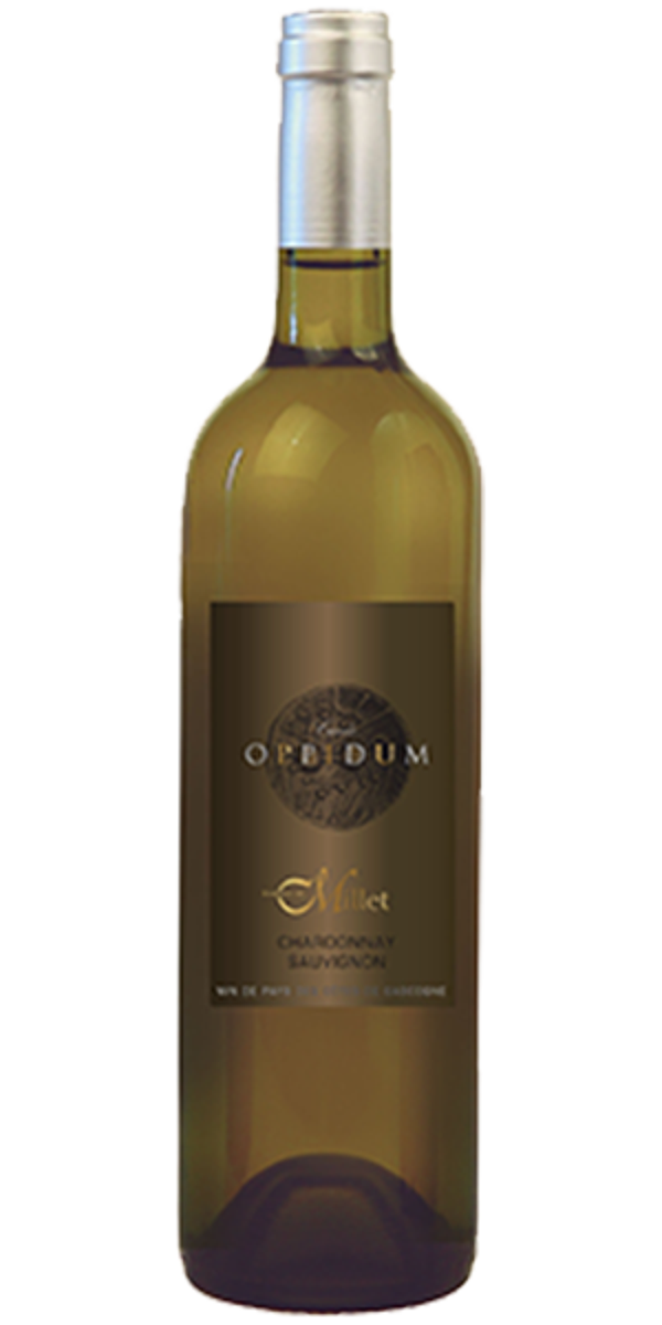 Oppidum