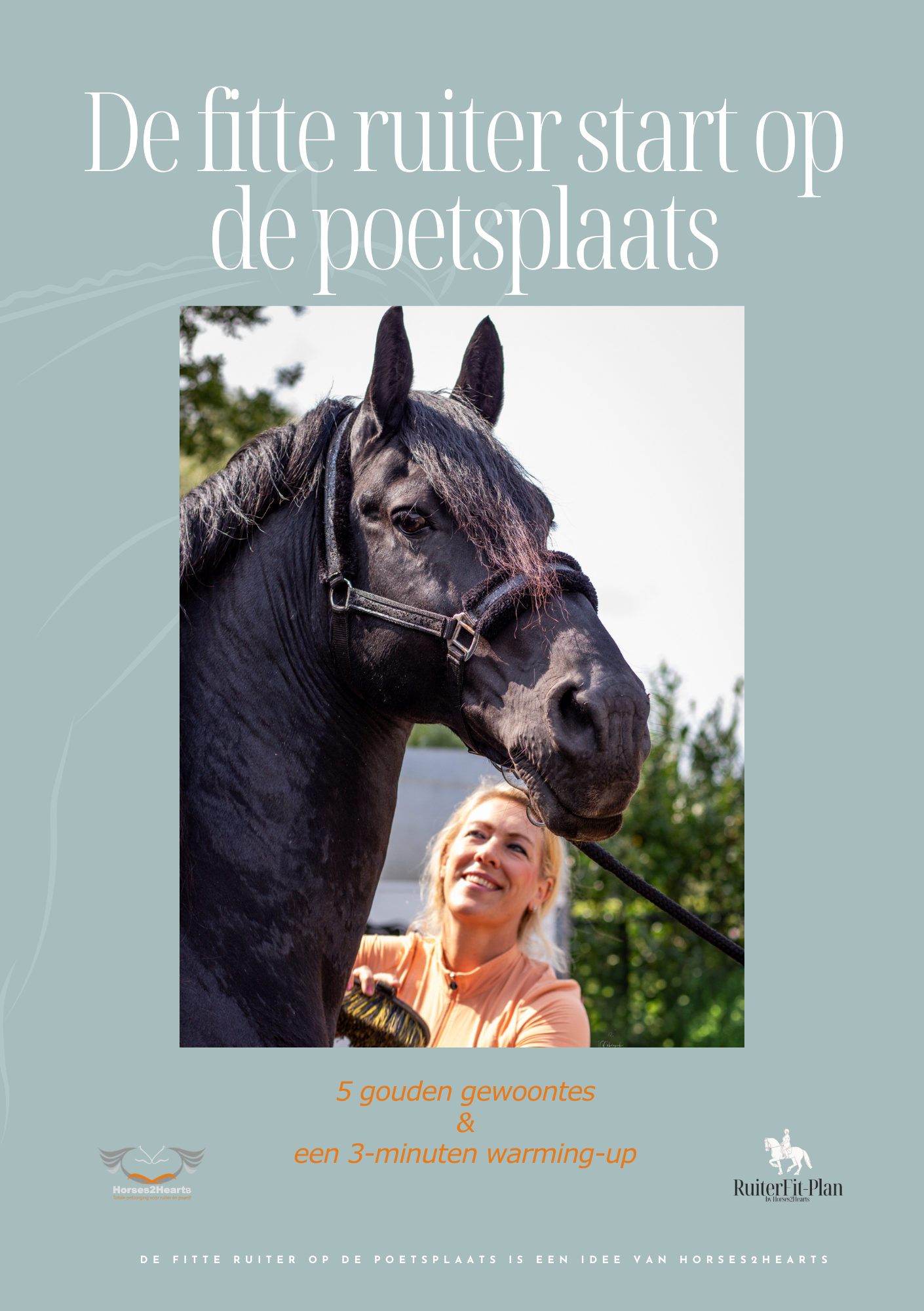 Checklist: De fitte ruiter start op de poetsplaats