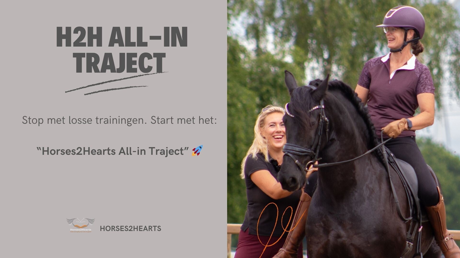H2H Dressuur all-in Traject
