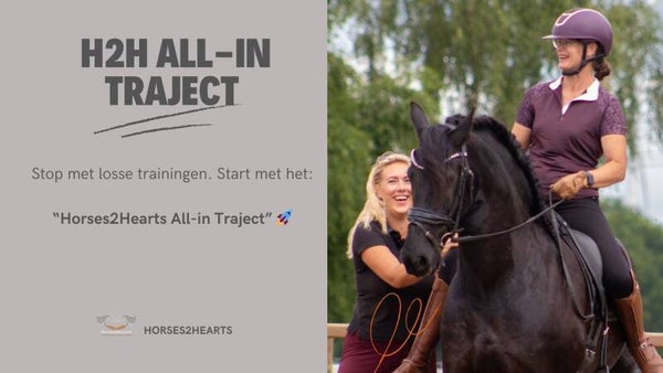 H2H Dressuur all-in Traject