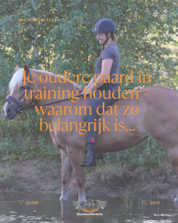 E-book: je oudere paard trainen