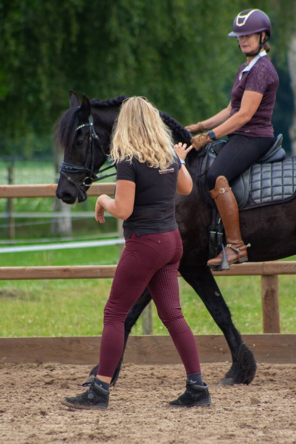 Dressuurles eigen paard (op locatie vanaf 2 personen)