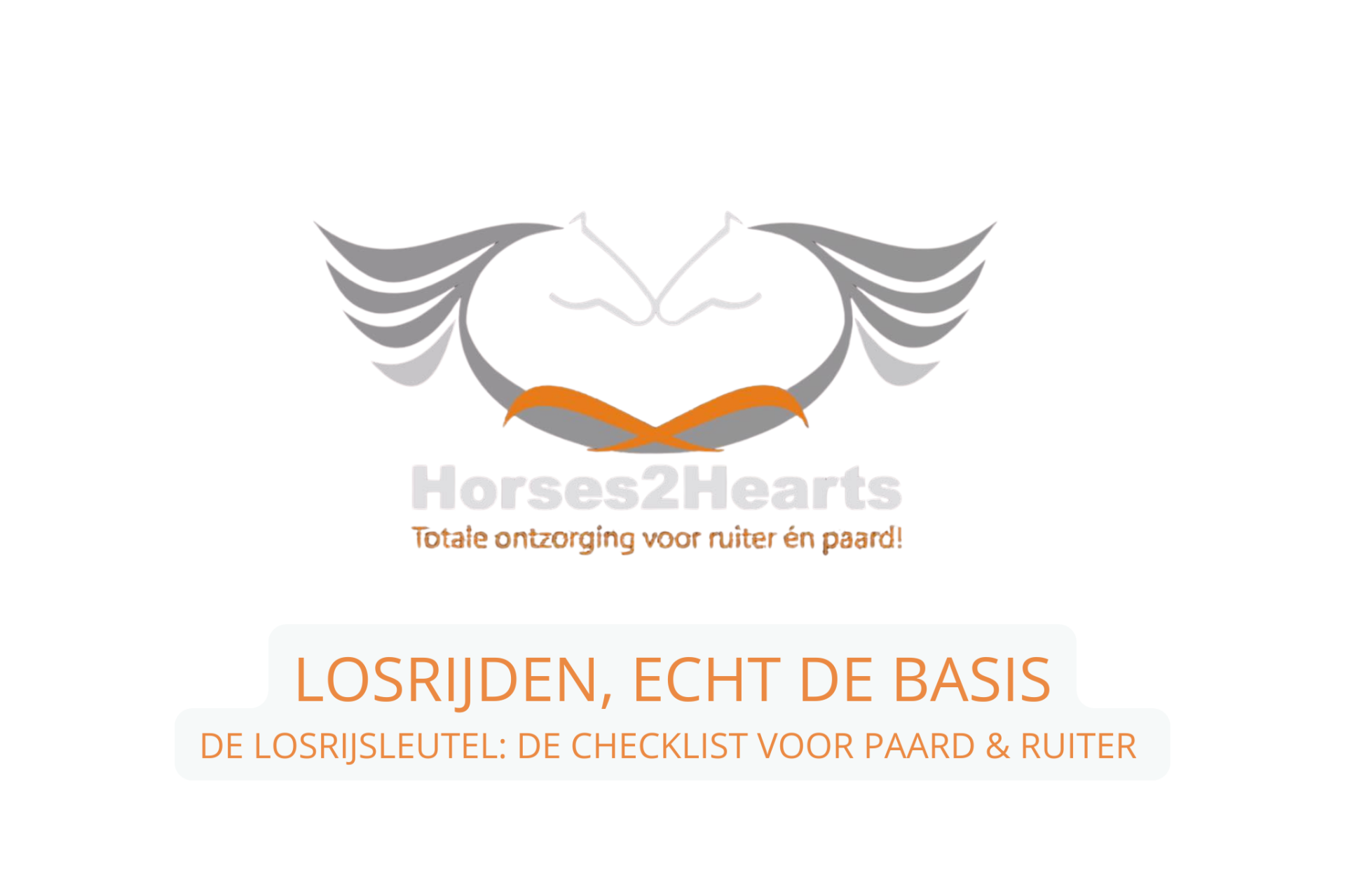 Checklist: Losrijden Paard & Ruiter