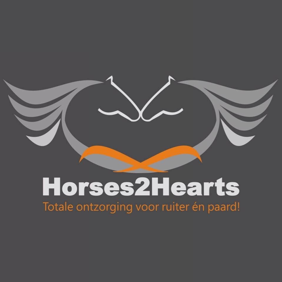 Upgrade RuiterFit-Plan pakket 1 naar pakket 2