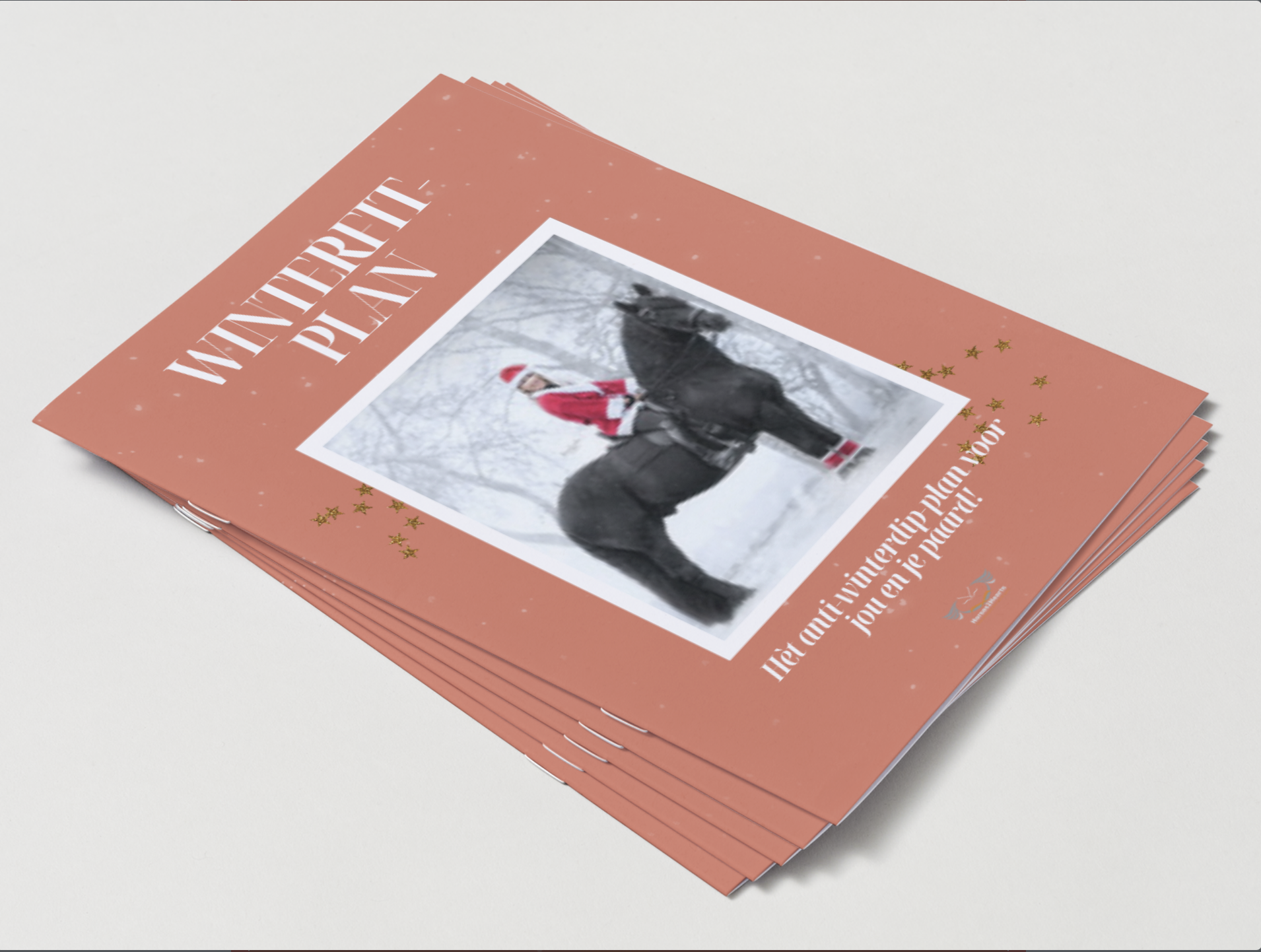 WinterFit-Plan pakket 2 (met begeleiding)