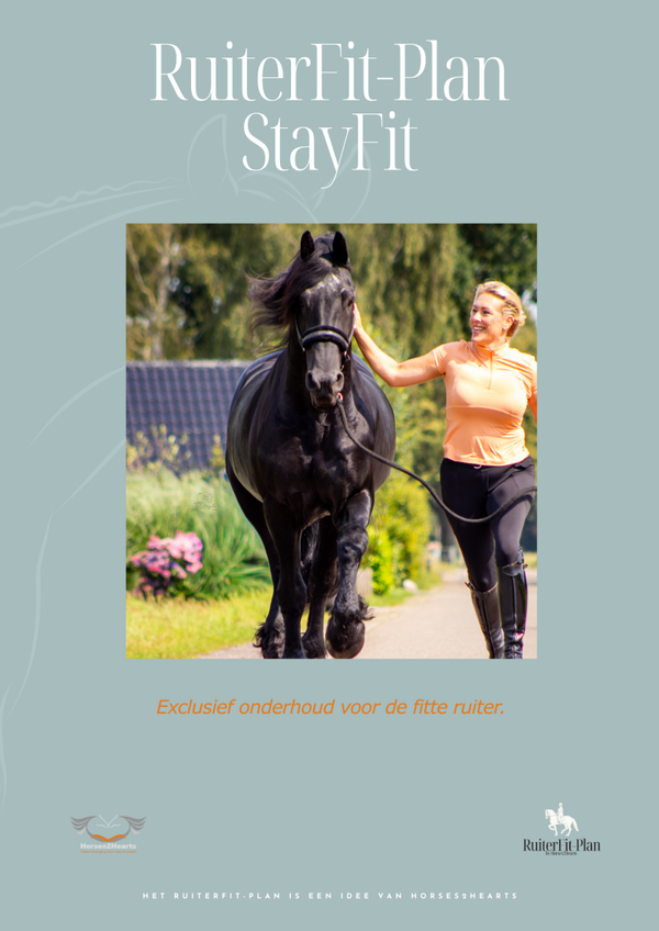 StayFit-Plan (Digitale Download)
