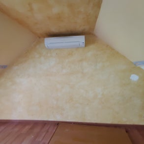 1000043207-standard-ndq0fr.jpg