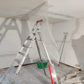 1000043345-standard.jpg